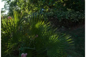 Hasselblad XCD 21mm | Flare & CA | Full Image | f/11