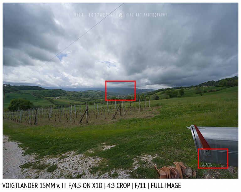 Voigtlander 15mm Super-Wide Heliar f/4.5 v. III | Close Focus | Full Image | f/11