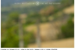 Canon 16-35mm f/2.8 III IS | 28mm | Close Focus | Center | f/5.6