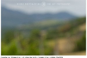 Canon 16-35mm f/4 IS | 21mm | Close Focus | Center | f/4