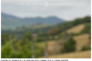 Canon 16-35mm f/4 IS | 19mm | Close Focus | Center | f/5.6