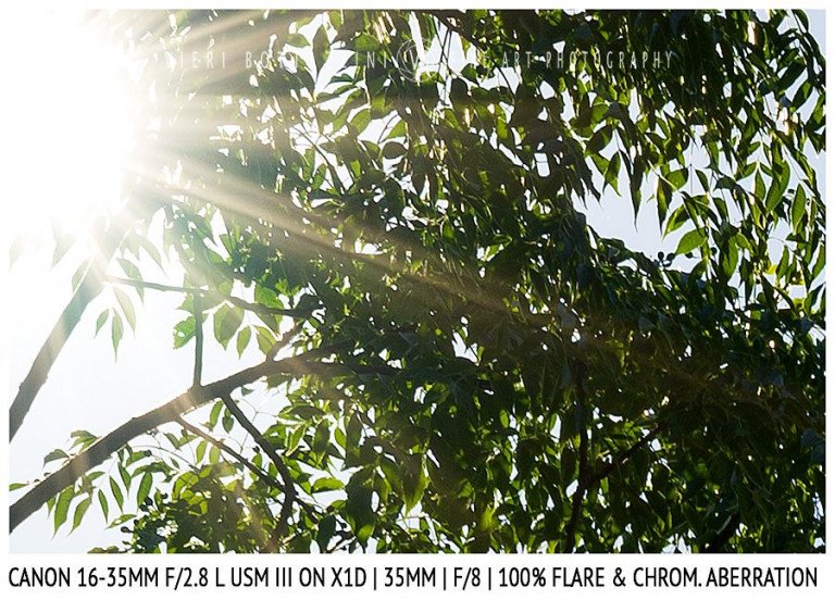 Canon 16-35mm f/2.8 III IS | 35mm | Flare & CA | Detail | f/8