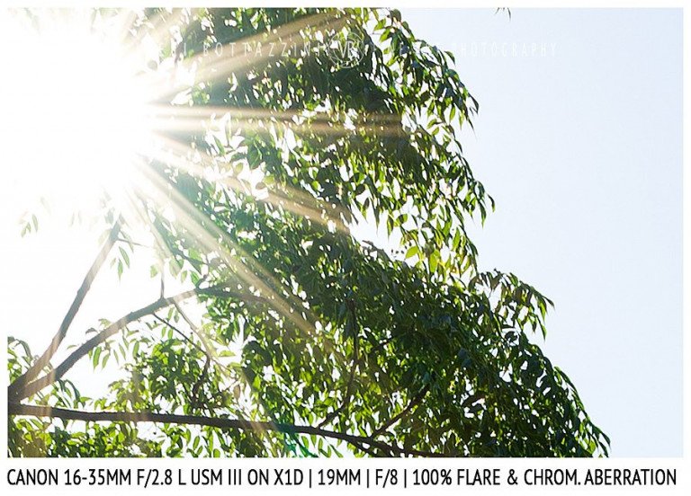 Canon 16-35mm f/2.8 III IS | 19mm | Flare & CA | Detail | f/8