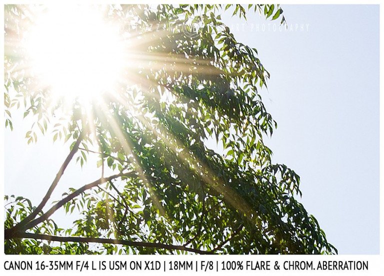 Canon 16-35mm f/4 IS | 18mm | Flare & CA | Detail | f/8