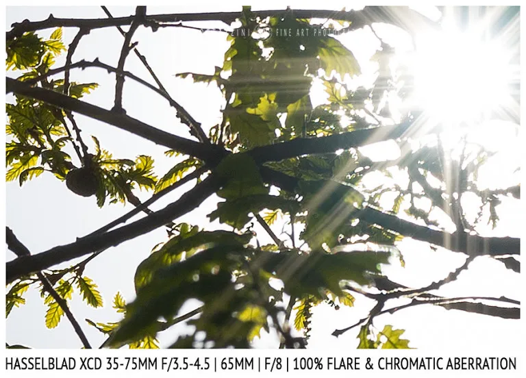Hasselblad XCD 35-75mm | 65mm | Flare & CA | Detail | f/8