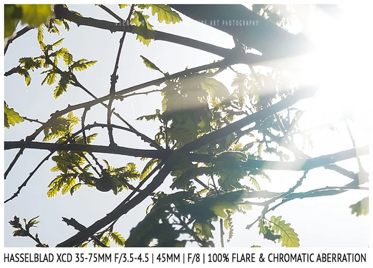 Hasselblad XCD 35-75mm | 45mm | Flare & CA | Detail | f/8