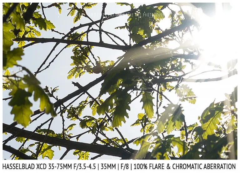 Hasselblad XCD 35-75mm | 35mm | Flare & CA | Detail | f/8